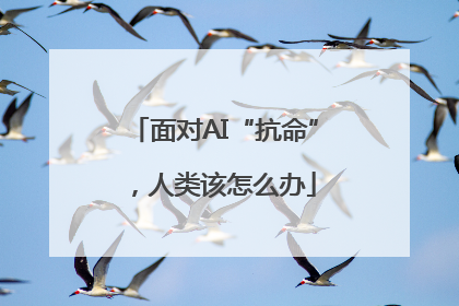 面对AI“抗命”，人类该怎么办