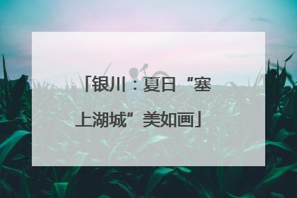 银川：夏日“塞上湖城”美如画