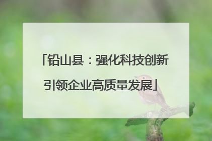 铅山县：强化科技创新 引领企业高质量发展