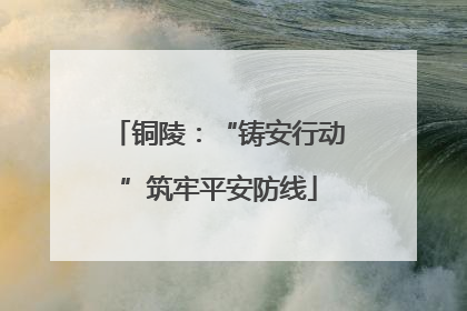 铜陵：“铸安行动”筑牢平安防线