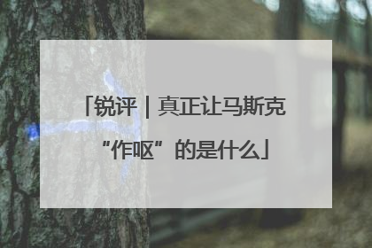 锐评｜真正让马斯克“作呕”的是什么