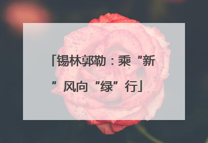 锡林郭勒：乘“新”风向“绿”行