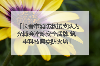 长春市消防救援支队为光博会淬炼安全盾牌 筑牢科技盛宴防火墙