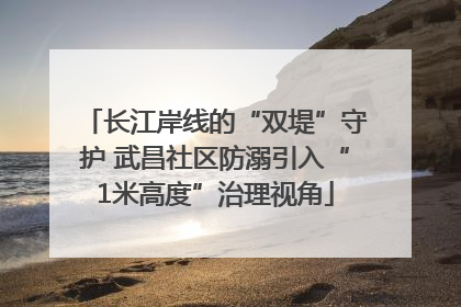 长江岸线的“双堤”守护 武昌社区防溺引入“1米高度”治理视角