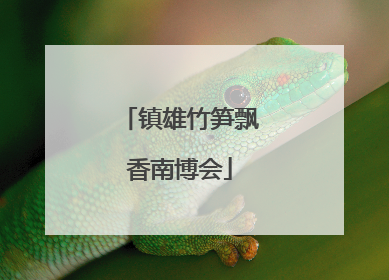 镇雄竹笋飘香南博会