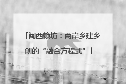 闽西赖坊：两岸乡建乡创的“融合方程式”