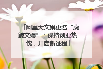 阿里大文娱更名“虎鲸文娱”：保持创业热忱，开启新征程