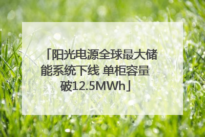 阳光电源全球最大储能系统下线 单柜容量破12.5MWh