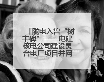 陇电入鲁“树丰碑”——电建核电公司建设灵台电厂项目并网发电侧记