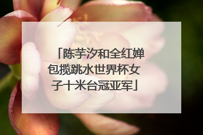 陈芋汐和全红婵包揽跳水世界杯女子十米台冠亚军