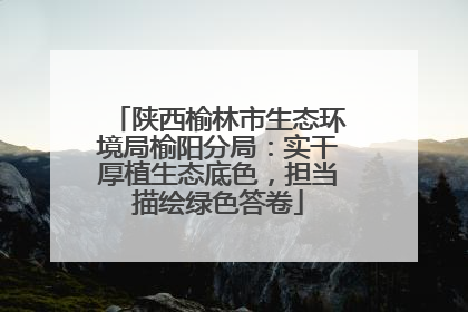 陕西榆林市生态环境局榆阳分局：实干厚植生态底色，担当描绘绿色答卷