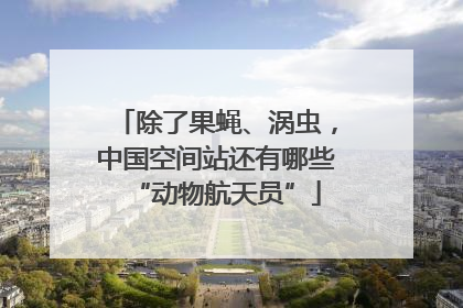 除了果蝇、涡虫，中国空间站还有哪些“动物航天员”