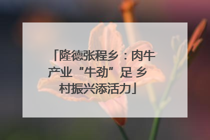 隆德张程乡：肉牛产业“牛劲”足 乡村振兴添活力