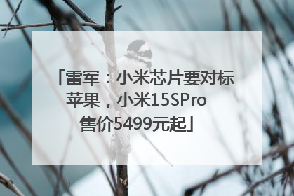 雷军：小米芯片要对标苹果，小米15SPro售价5499元起
