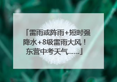 雷雨或阵雨+短时强降水+8级雷雨大风！东营中考天气……