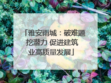 雅安雨城：破难题 挖潜力 促进建筑业高质量发展