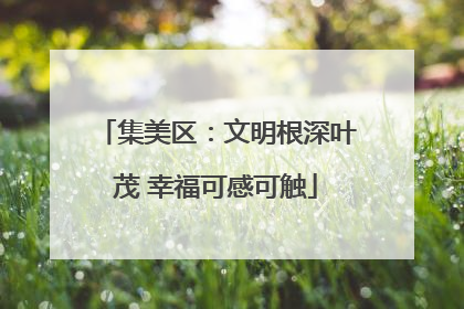 集美区：文明根深叶茂 幸福可感可触