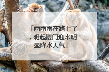 雨雨雨在路上了，明起厦门迎来明显降水天气