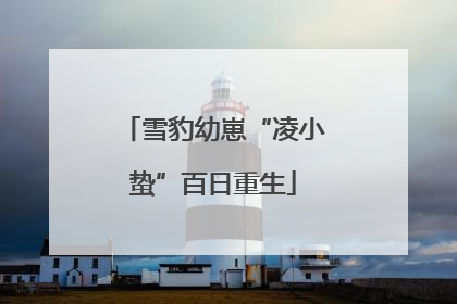 雪豹幼崽“凌小蛰”百日重生