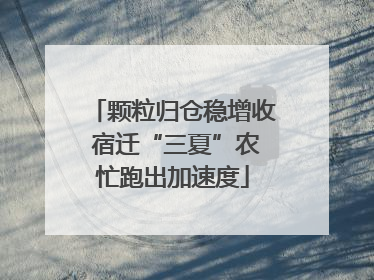 颗粒归仓稳增收 宿迁“三夏”农忙跑出加速度