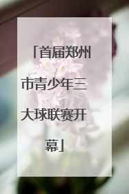 首届郑州市青少年三大球联赛开幕