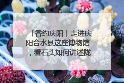 香约庆阳｜走进庆阳合水县这座博物馆，看石头如何讲述陇东千年历史