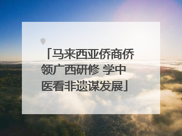 马来西亚侨商侨领广西研修 学中医看非遗谋发展