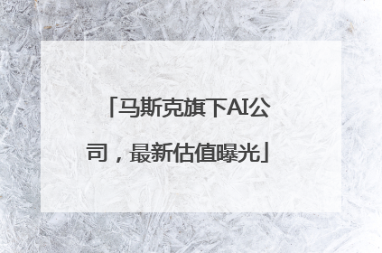 马斯克旗下AI公司，最新估值曝光