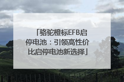 骆驼橙标EFB启停电池：引领高性价比启停电池新选择