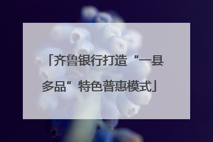 齐鲁银行打造“一县多品”特色普惠模式