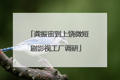 龚振宙到上饶微短剧影视工厂调研
