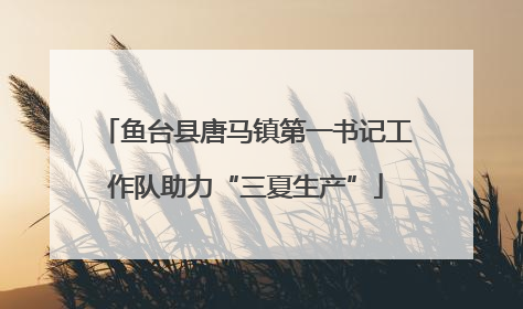鱼台县唐马镇第一书记工作队助力“三夏生产”
