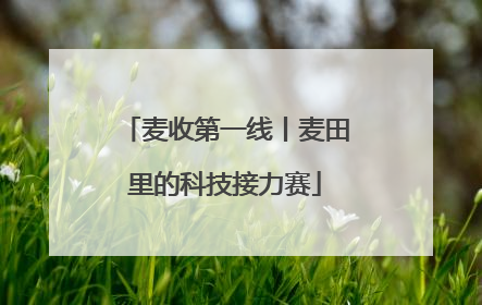 麦收第一线丨麦田里的科技接力赛