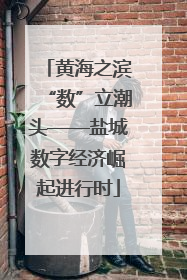 黄海之滨“数”立潮头——盐城数字经济崛起进行时