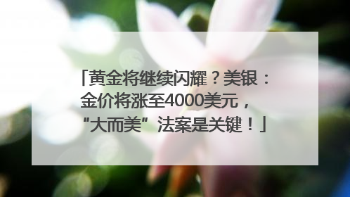 黄金将继续闪耀？美银：金价将涨至4000美元，“大而美”法案是关键！