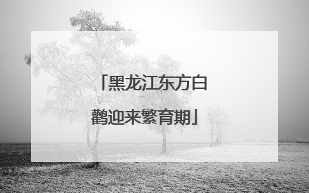 黑龙江东方白鹳迎来繁育期