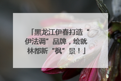 黑龙江伊春打造“伊法调”品牌，绘就林都新“枫”景！