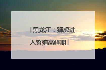 黑龙江：狮虎进入繁殖高峰期