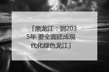 黑龙江：到2035年 要全面建成现代化绿色龙江