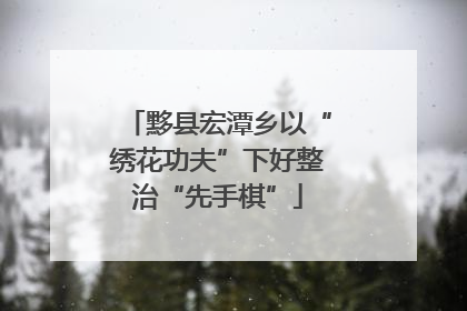 黟县宏潭乡以“绣花功夫”下好整治“先手棋”