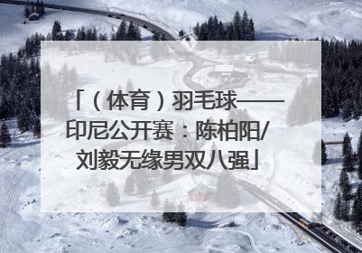 （体育）羽毛球——印尼公开赛：陈柏阳/刘毅无缘男双八强