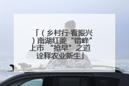 （乡村行·看振兴）南湖红菱“错峰”上市 “抢早”之道诠释农业新生
