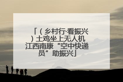 （乡村行·看振兴）土鸡坐上无人机 江西南康“空中快递员”助振兴