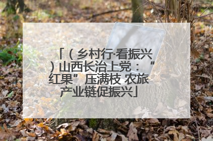 （乡村行·看振兴）山西长治上党：“红果”压满枝 农旅产业链促振兴