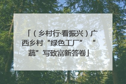 （乡村行·看振兴）广西乡村“绿色工厂” “蔬”写致富新答卷