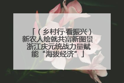 （乡村行·看振兴）新农人绘就共富新图景 浙江庆元统战力量赋能“海拔经济”