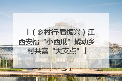 （乡村行·看振兴）江西安福“小西瓜”撬动乡村共富“大支点”