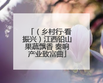 （乡村行·看振兴）江西铅山果蔬飘香 奏响产业致富曲
