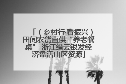 （乡村行·看振兴）田间农货直供“养老餐桌” 浙江缙云银发经济盘活山区资源