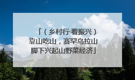 （乡村行·看振兴）靠山吃山，赛罕乌拉山脚下兴起山野菜经济